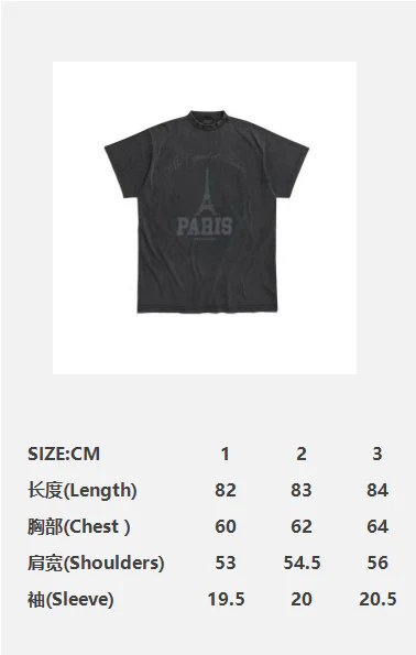 Balenciaga Paris T-Shirt Washed Grey - Image 2