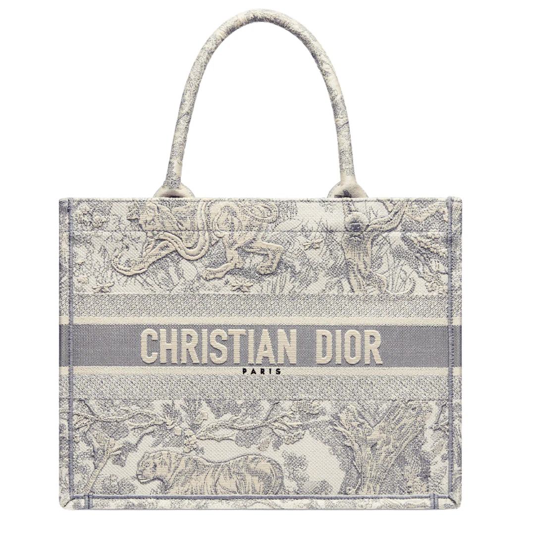 Christian Dior Book Tote Bag