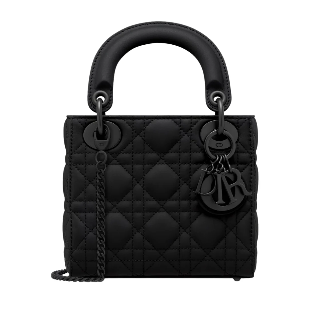 Dior 30 Montaigne Aphrodite Pouch Oblique Bag