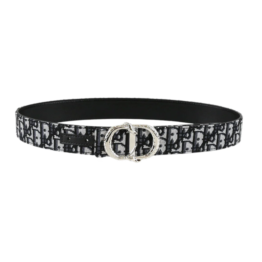 Dior Monogramm Belt Grey & Silver
