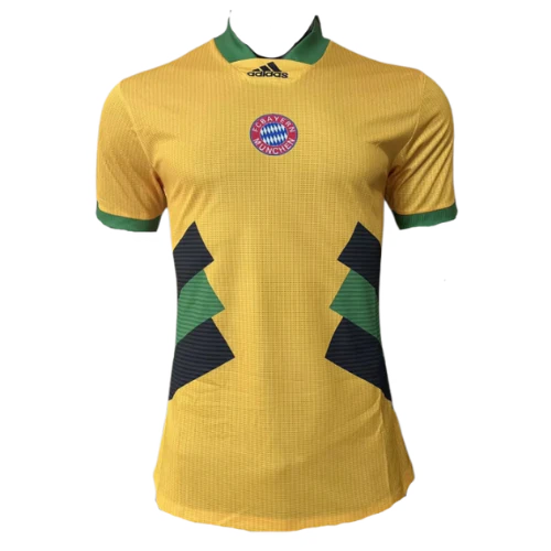 FC Bayern München 23-24 Training Jersey