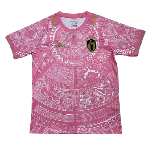 Italy 23-24 Special Fan Jersey