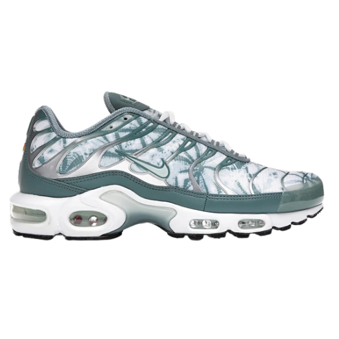 Nike Air Max Plus  Blue Silver