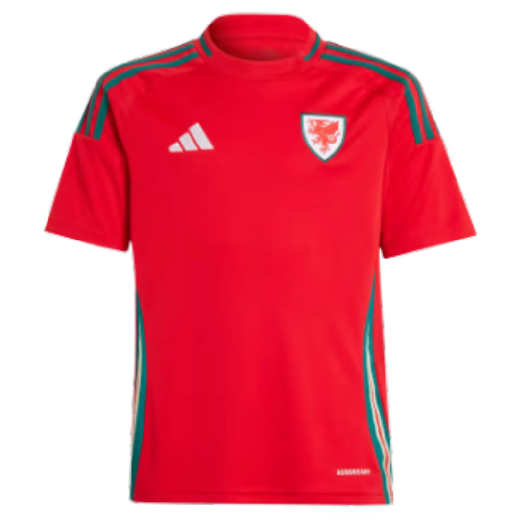 Wales 24/25 Home Jersey Red